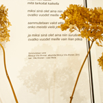 Kuiva-asetelmat / The Art of Driftwood and Dried Arrangements