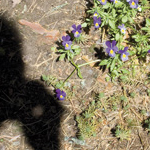 Käännä toinenkin poski