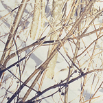 Mustesuihkutulosteet sanomalehtipaperilla ja kipsilevyllä & Selvä ero