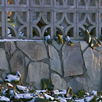 Sininen muovitynnyri / Designing Translations in the Blue